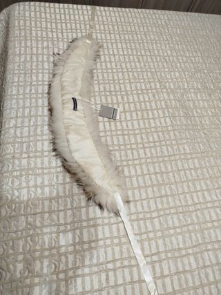 Collo Sandro Ferrone