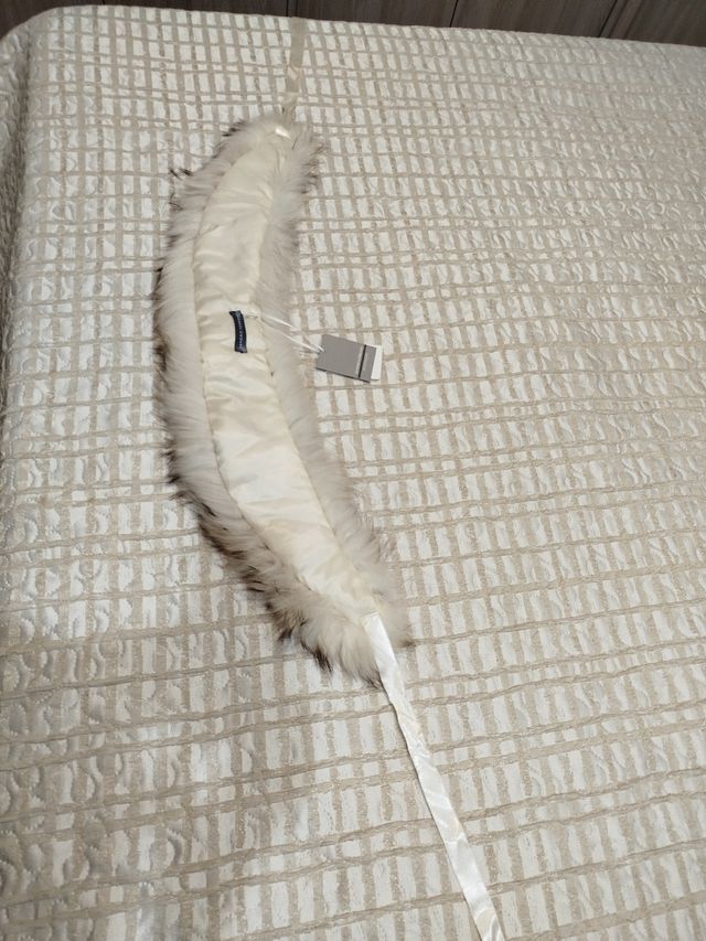 Collo Sandro Ferrone