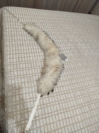 Collo Sandro Ferrone