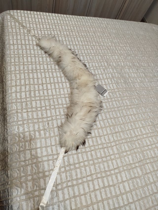 Collo Sandro Ferrone