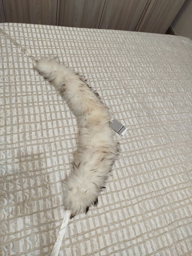 Collo Sandro Ferrone