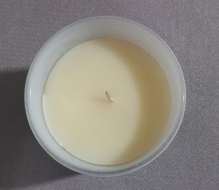 Candela Foresta Segreta