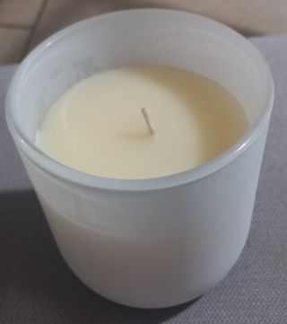 Candela Foresta Segreta