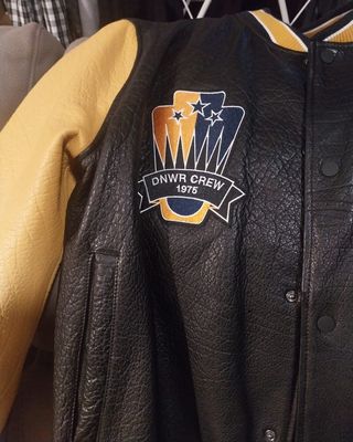 Cazadora bomber piel auténtica 
