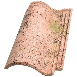 Teja Duna Mistral. Recojer en La Puebla De Castro 