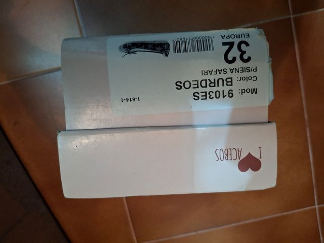 Bailarina da menina da Borgonha.