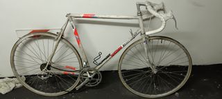 Bicicleta bh vento