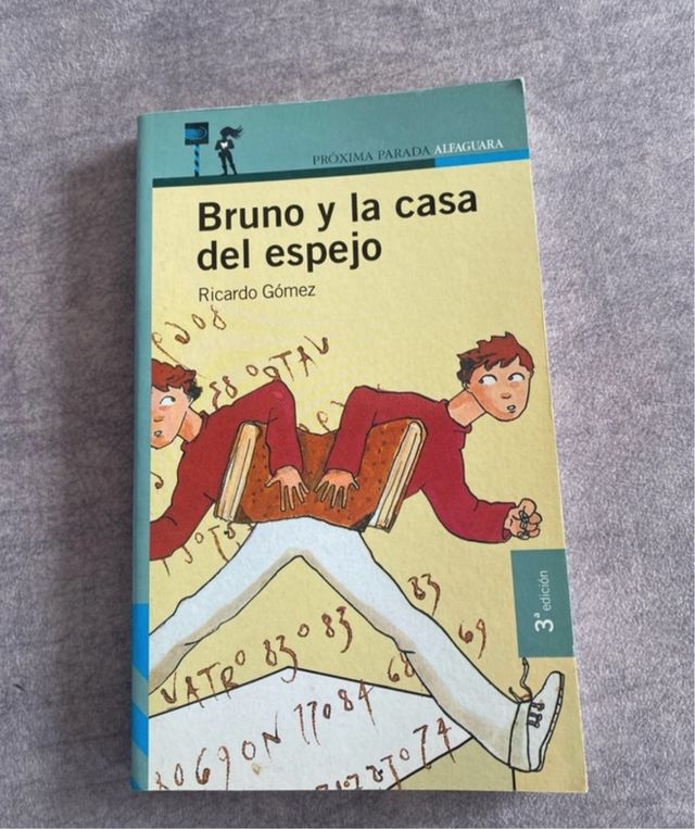 Bruno y la casa del espejo