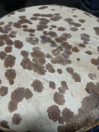 Djembe profesional Lenke