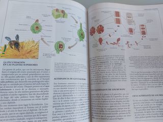 ENCICLOPEDIA ESCOLAR CRISOL