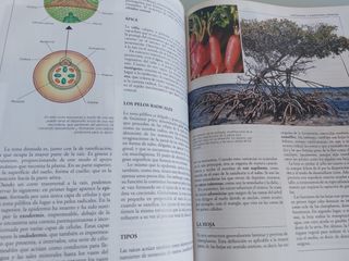 ENCICLOPEDIA ESCOLAR CRISOL