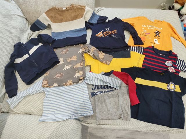 Lote 8 nikis, sudadera y jersey