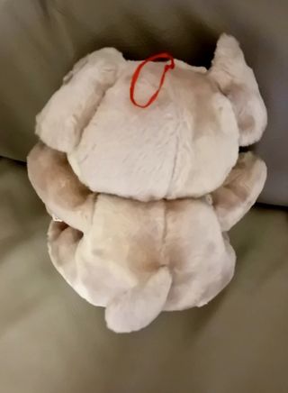 Peluche morbidissimo
