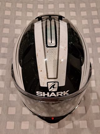 Casco Shark