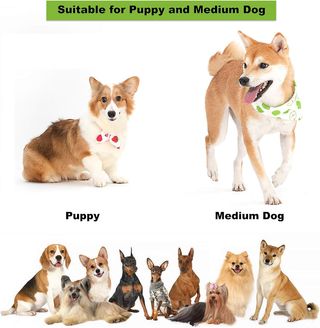 Giochi per Cani, 6 pezzi Giochi Interattivi