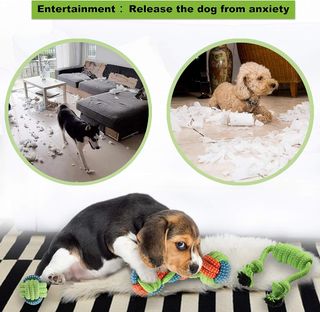 Giochi per Cani, 6 pezzi Giochi Interattivi