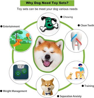 Giochi per Cani, 6 pezzi Giochi Interattivi