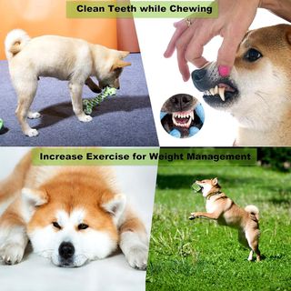 Giochi per Cani, 6 pezzi Giochi Interattivi