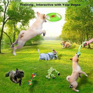 Giochi per Cani, 6 pezzi Giochi Interattivi