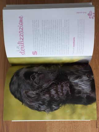 Arriva un cucciolo! Che cosa sapere e che cosa fare per accogliere il tuo nuovo amico