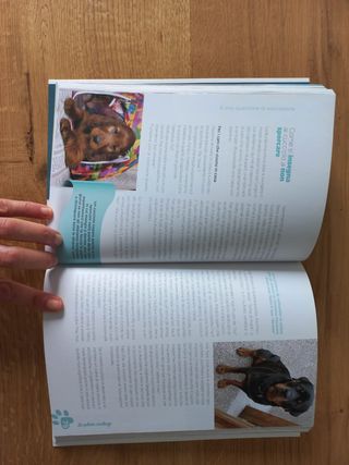 Arriva un cucciolo! Che cosa sapere e che cosa fare per accogliere il tuo nuovo amico