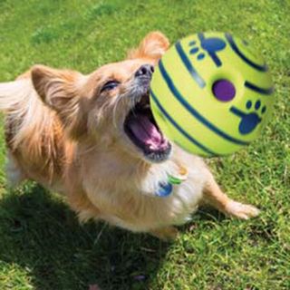 DOGGIES BALL - Juego interactivo de sonido para pe