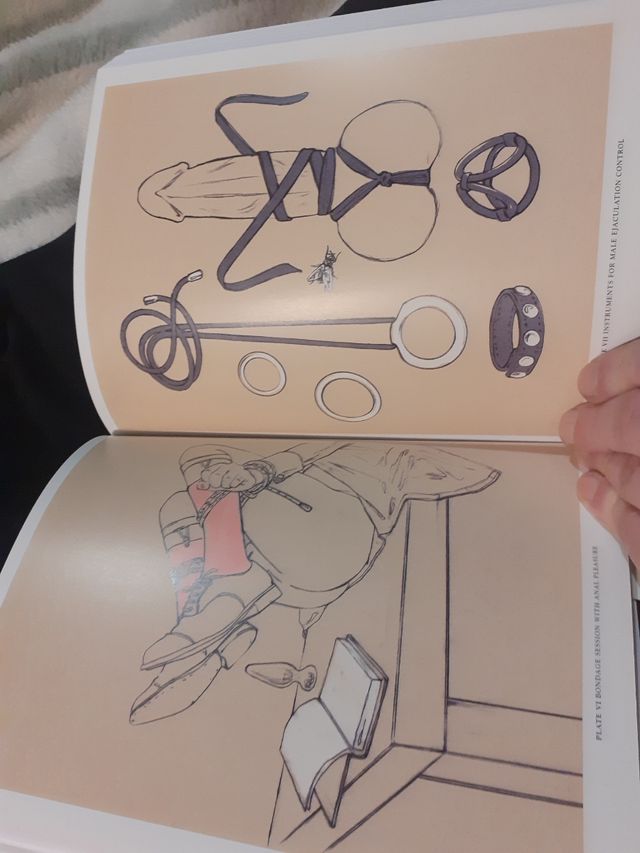 Boudoir Bible, Sex Guide