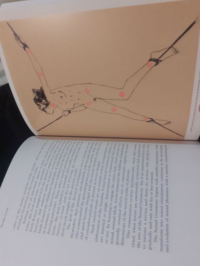 Boudoir Bible, Sex Guide