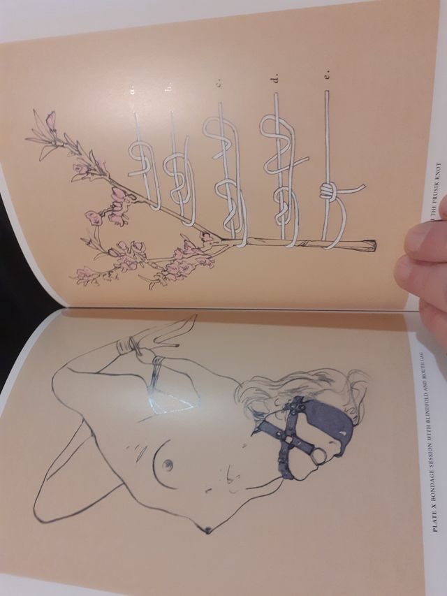 Boudoir Bible, Sex Guide