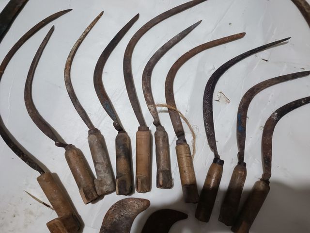 Lote de hoces, corvellas zoqueta