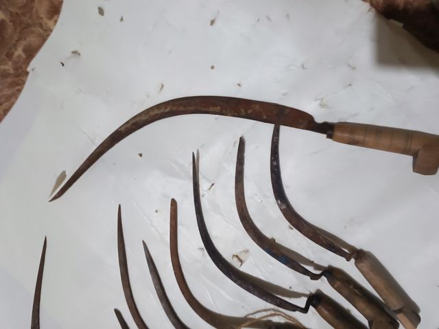 Lote de hoces, corvellas zoqueta