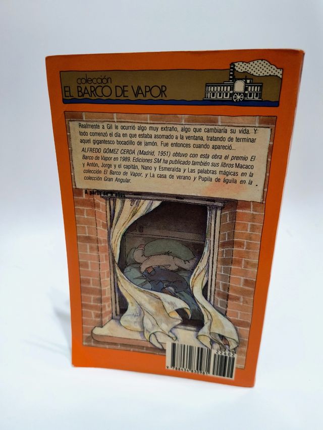 Libro Apareció en mi ventana