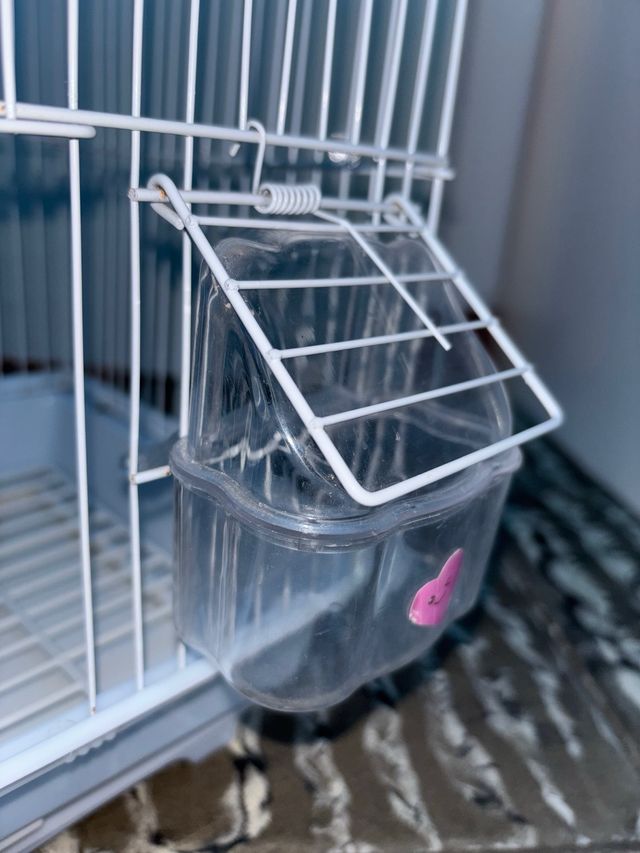 Comedores para pájaros x3