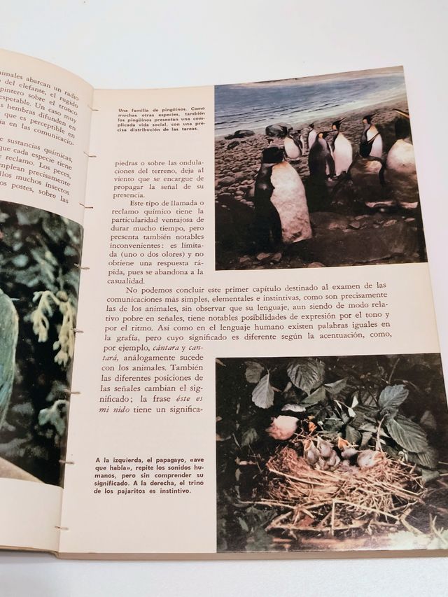 Libro: Historia de las comunicaciones 