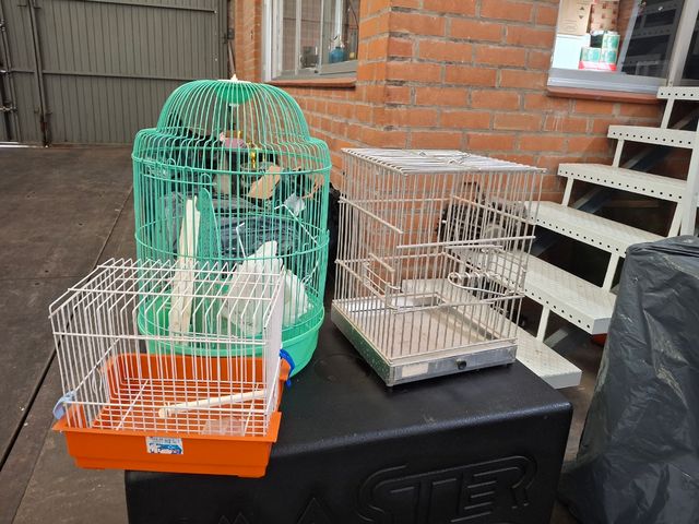 Jaulas pájaros