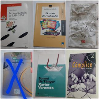 Libros de lectura en catalan