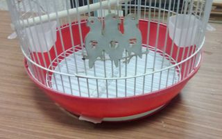 Jaula Hamster