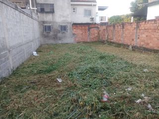 Limpieza de parcelas poda de árboles