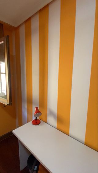 Pintor de casas
