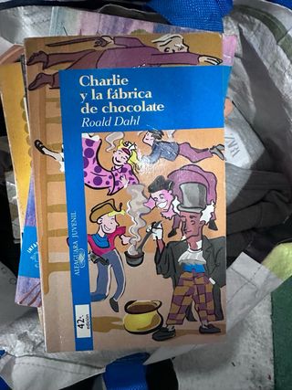 Lote libros infantiles juveniles