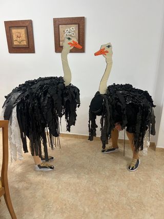 Disfraz comparsa avestruces carnavales