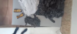 Disfraz comparsa avestruces carnavales