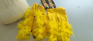 Disfraz comparsa avestruces carnavales
