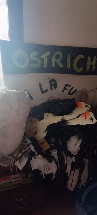 Disfraz comparsa avestruces carnavales