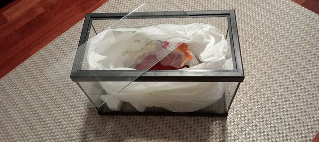 Acuario pequeño 20L