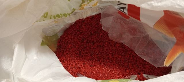 Acuario pequeño 20L