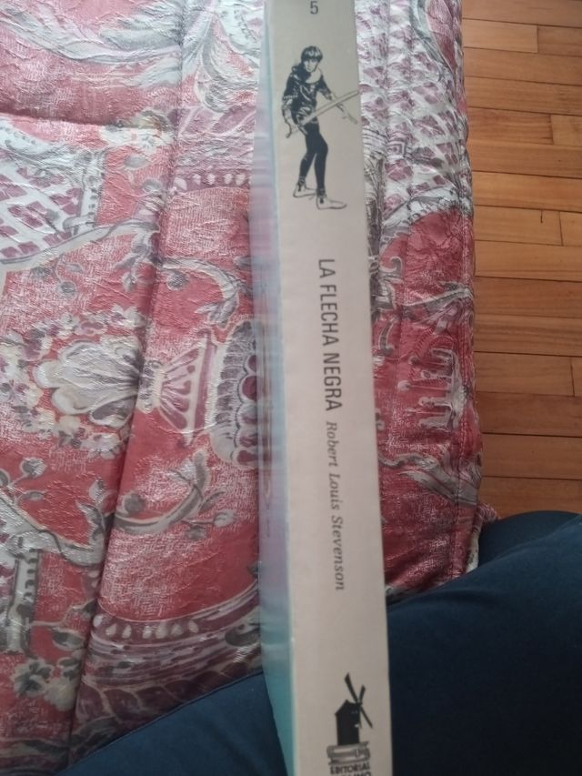 LIBRO LA FLECHA NEGRA