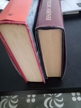 Todo bajo el Cielo+Iacobus,Matilde Asensi.