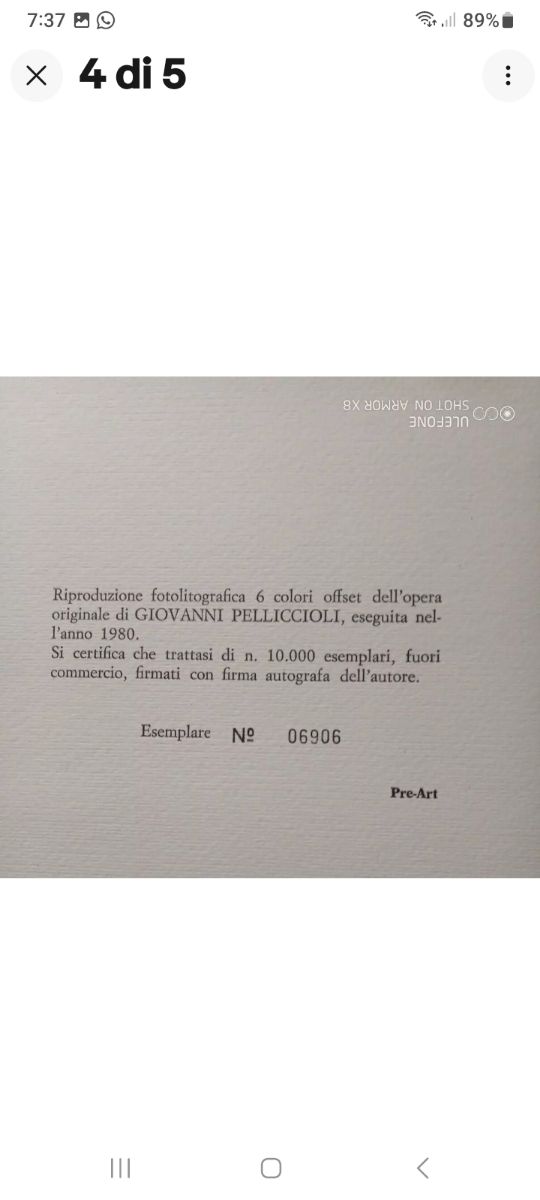 Litografia pelliccioli rara