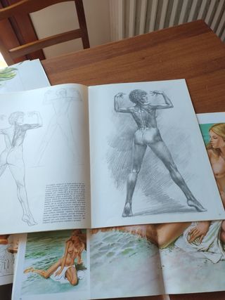 Fascicoli Arte 